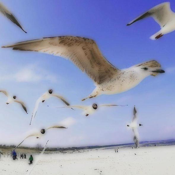 Klein Aber Fein Appartamento Świnoujście Esterno foto